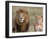 Lion Pair (Panthera Leo), Masai Mara National Reserve, Kenya, East Africa, Africa-Sergio Pitamitz-Framed Photographic Print