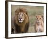 Lion Pair (Panthera Leo), Masai Mara National Reserve, Kenya, East Africa, Africa-Sergio Pitamitz-Framed Photographic Print