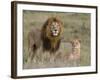 Lion Pair (Panthera Leo), Masai Mara National Reserve, Kenya, East Africa, Africa-Sergio Pitamitz-Framed Photographic Print