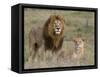 Lion Pair (Panthera Leo), Masai Mara National Reserve, Kenya, East Africa, Africa-Sergio Pitamitz-Framed Stretched Canvas