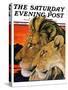 "Lion Pair," Saturday Evening Post Cover, April 27, 1929-Paul Bransom-Stretched Canvas