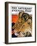 "Lion Pair," Saturday Evening Post Cover, April 27, 1929-Paul Bransom-Framed Giclee Print