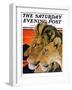 "Lion Pair," Saturday Evening Post Cover, April 27, 1929-Paul Bransom-Framed Giclee Print