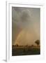 Lion (Panthera leo) adult male, resting in habitat, with stormclouds and rainbow, Chief's Island-Shem Compion-Framed Photographic Print