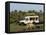 Lion (Panthera Leo) and Safari Vehicle, Masai Mara, Kenya, East Africa, Africa-Sergio Pitamitz-Framed Stretched Canvas