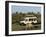 Lion (Panthera Leo) and Safari Vehicle, Masai Mara, Kenya, East Africa, Africa-Sergio Pitamitz-Framed Photographic Print