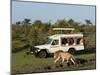 Lion (Panthera Leo) and Safari Vehicle, Masai Mara, Kenya, East Africa, Africa-Sergio Pitamitz-Mounted Photographic Print