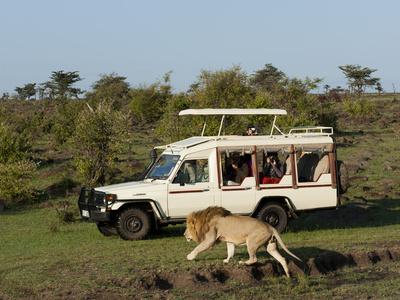 https://imgc.allpostersimages.com/img/posters/lion-panthera-leo-and-safari-vehicle-masai-mara-kenya-east-africa-africa_u-L-PHCNJL0.jpg?artPerspective=n