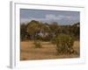 Lion, Panthera Leo, Chobe National Park, Savuti, Botswana, Africa-Thorsten Milse-Framed Photographic Print