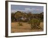 Lion, Panthera Leo, Chobe National Park, Savuti, Botswana, Africa-Thorsten Milse-Framed Photographic Print