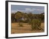 Lion, Panthera Leo, Chobe National Park, Savuti, Botswana, Africa-Thorsten Milse-Framed Photographic Print