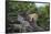 Lion (Panthera Leo) Cub on a Downed Tree Trunk in the Rain-James Hager-Framed Photographic Print