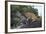 Lion (Panthera Leo) Cub on a Downed Tree Trunk in the Rain-James Hager-Framed Photographic Print