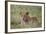 Lion (Panthera Leo) Cubs, Ngorongoro Crater, Tanzania, East Africa, Africa-James Hager-Framed Photographic Print