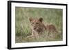 Lion (Panthera Leo) Cubs, Ngorongoro Crater, Tanzania, East Africa, Africa-James Hager-Framed Photographic Print