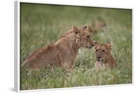 Lion (Panthera Leo) Cubs, Ngorongoro Crater, Tanzania, East Africa, Africa-James Hager-Framed Photographic Print