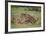 Lion (Panthera Leo) Cubs Playing, Ngorongoro Crater, Tanzania, East Africa, Africa-James Hager-Framed Photographic Print