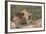 Lion (Panthera Leo) Demonstrating the Flehmen Response-James Hager-Framed Photographic Print