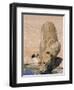 Lion, Panthera Leo, Drinking at Waterhole, Kgalagadi Transfrontier Park, South Africa, Africa-Ann & Steve Toon-Framed Photographic Print