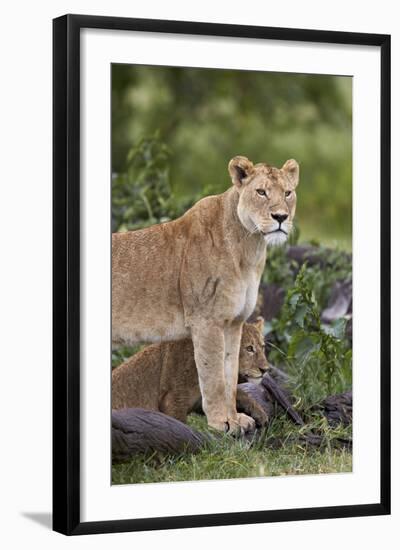 Lion (Panthera Leo) Female and Cub, Ngorongoro Crater, Tanzania, East Africa, Africa-James Hager-Framed Photographic Print