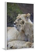 Lion (Panthera Leo) Female and Cub, Ngorongoro Crater, Tanzania, East Africa, Africa-James Hager-Framed Photographic Print