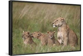 Lion (Panthera Leo) Female and Three Cubs, Ngorongoro Crater, Tanzania, East Africa, Africa-James Hager-Framed Photographic Print