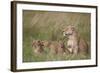 Lion (Panthera Leo) Female and Three Cubs, Ngorongoro Crater, Tanzania, East Africa, Africa-James Hager-Framed Photographic Print