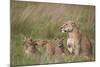 Lion (Panthera Leo) Female and Three Cubs, Ngorongoro Crater, Tanzania, East Africa, Africa-James Hager-Mounted Photographic Print