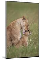 Lion (Panthera Leo) Female Grooming a Cub, Ngorongoro Crater, Tanzania, East Africa, Africa-James Hager-Mounted Photographic Print