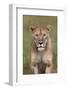 Lion (Panthera Leo) Female (Lioness), Ngorongoro Crater, Tanzania, East Africa, Africa-James Hager-Framed Photographic Print