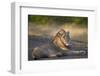 Lion (Panthera Leo), Kruger National Park, South Africa, Africa-James-Framed Photographic Print