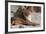 Lion (Panthera Leo), Mala Mala Game Reserve, South Africa, Africa-Sergio-Framed Photographic Print