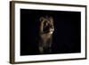 Lion (Panthera Leo) Male in Darkness, Okavango Delta, Botswana-Wim van den Heever-Framed Photographic Print