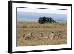 Lion (Panthera Leo), Masai Mara, Kenya, East Africa, Africa-Sergio Pitamitz-Framed Photographic Print