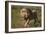 Lion (Panthera Leo), Ngorongoro Conservation Area, Serengeti, Tanzania, East Africa, Africa-James Hager-Framed Photographic Print