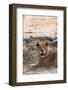 Lion (Panthera Leo), Okavango Delta, Botswana, Africa-Sergio Pitamitz-Framed Photographic Print