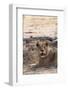 Lion (Panthera Leo), Okavango Delta, Botswana, Africa-Sergio Pitamitz-Framed Photographic Print