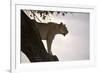 Lion (Panthera Leo) on Acacia Tree, Masai Mara National Reserve, Kenya, East Africa, Africa-Sergio Pitamitz-Framed Photographic Print