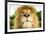 Lion (Panthera leo) portrait, looking proud, Captive-Paul Williams-Framed Photographic Print