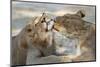 Lion (Panthera Leo), Pride Members Grooming, Kgalagadi Transfrontier Park-Ann and Steve Toon-Mounted Photographic Print