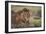 Lion (Panthera Leo), Serengeti National Park, Tanzania, East Africa, Africa-James Hager-Framed Photographic Print