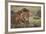 Lion (Panthera Leo), Serengeti National Park, Tanzania, East Africa, Africa-James Hager-Framed Photographic Print