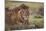 Lion (Panthera Leo), Serengeti National Park, Tanzania, East Africa, Africa-James Hager-Mounted Photographic Print
