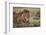 Lion (Panthera Leo), Serengeti National Park, Tanzania, East Africa, Africa-James Hager-Framed Photographic Print