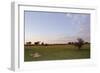 Lion (Panthera leo) two adult females, resting in habitat at sunset, Chief's Island, Okavango Delta-Shem Compion-Framed Photographic Print