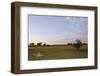 Lion (Panthera leo) two adult females, resting in habitat at sunset, Chief's Island, Okavango Delta-Shem Compion-Framed Photographic Print