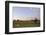 Lion (Panthera leo) two adult females, resting in habitat at sunset, Chief's Island, Okavango Delta-Shem Compion-Framed Photographic Print