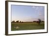 Lion (Panthera leo) two adult females, resting in habitat at sunset, Chief's Island, Okavango Delta-Shem Compion-Framed Photographic Print