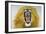 Lion (Phantera Leo), Felidae-null-Framed Giclee Print