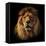 Lion Portrait on Black Background. Big Adult Lion with Rich Mane.-Michal Bednarek-Framed Stretched Canvas